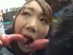 Asian playgirl fucks with a dog